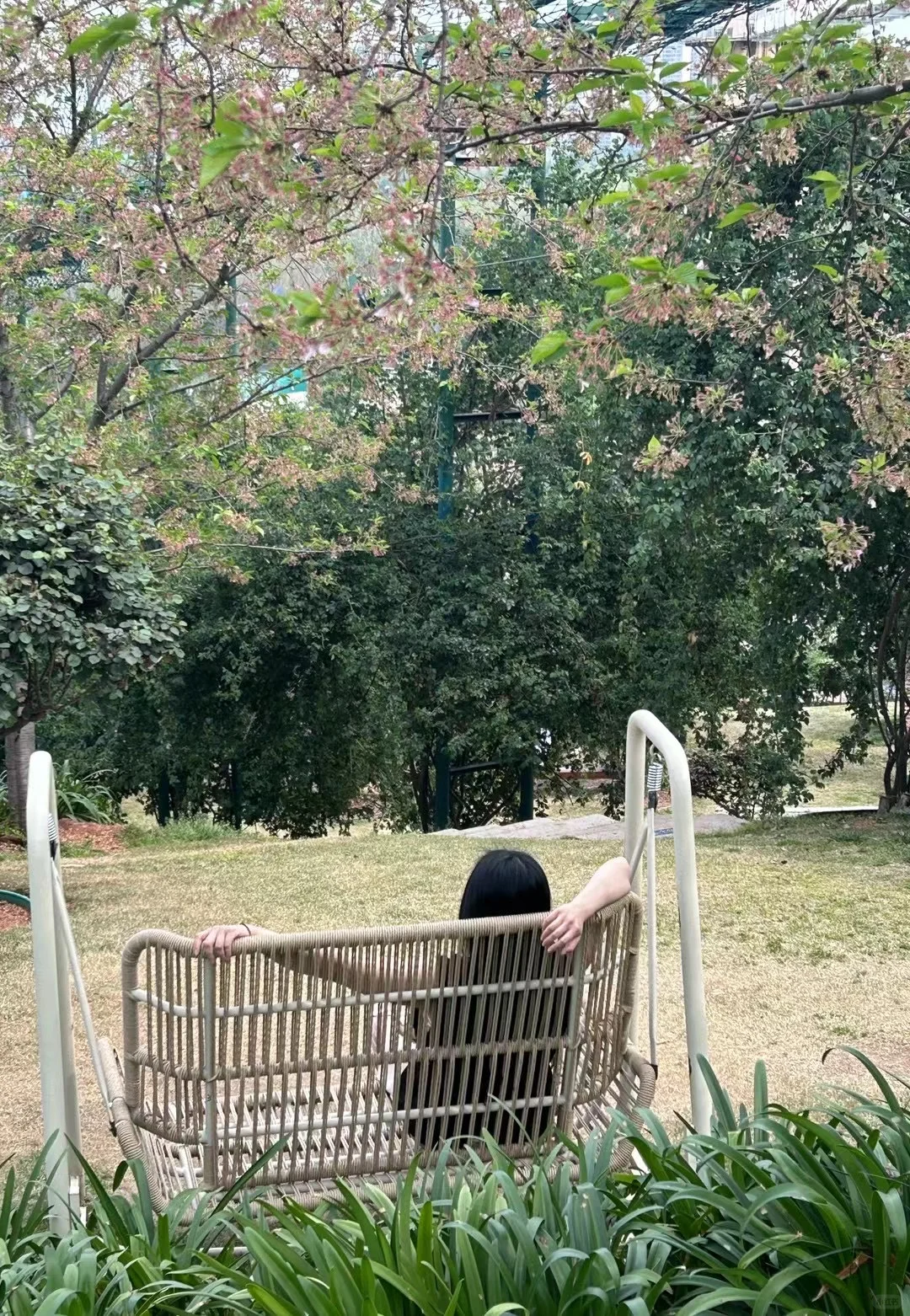 请你在花丛里，自由又发光～🌸