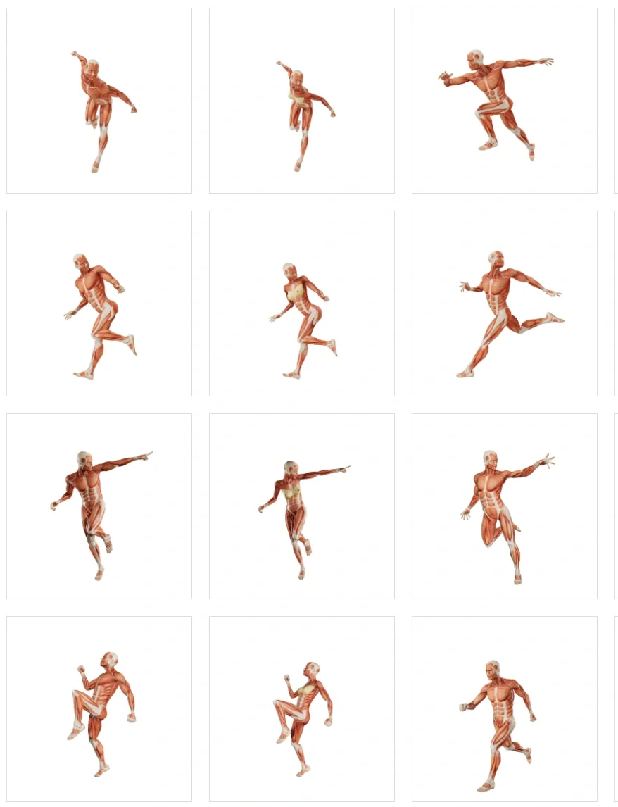 人体绘画必备
