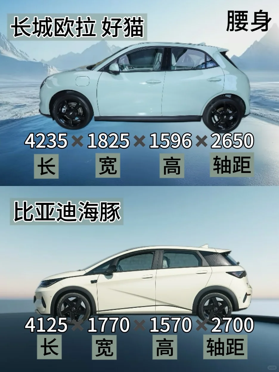 好猫VS海豚保姆级选车指南✨