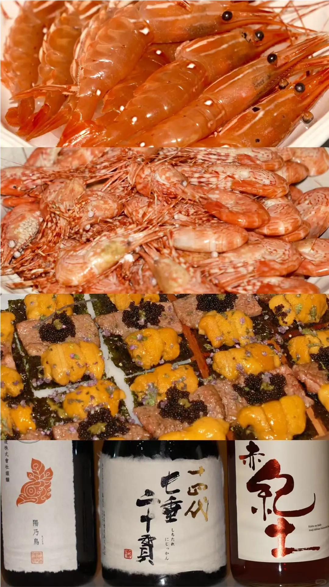 西雅图珊瑚虾季狂饮局