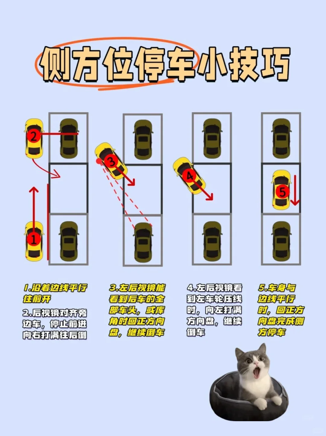 【女大学生驾考】女大都码住这份开车技巧