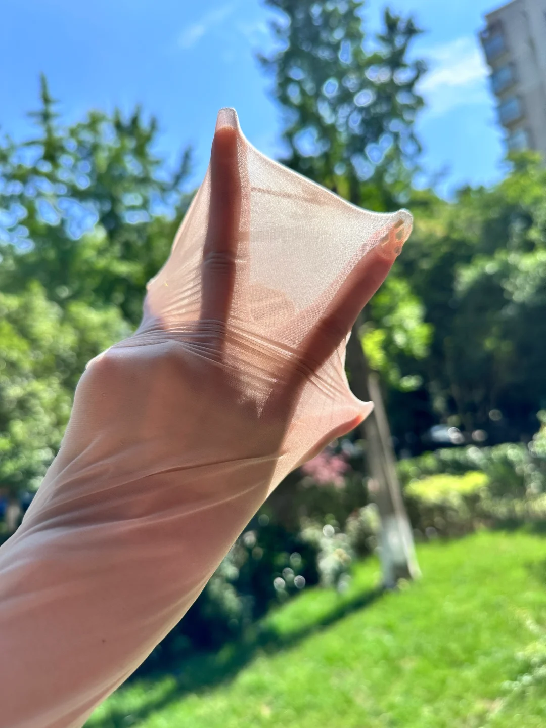 超自然！不反光！阳光☀️直射，原📷实拍