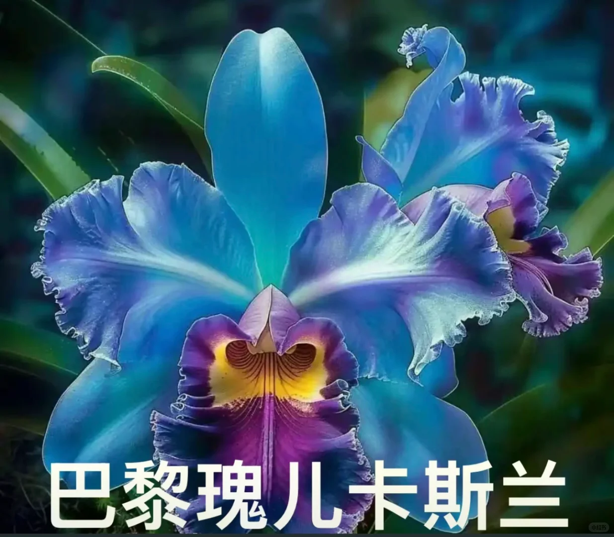 川渝人的专属表情包，太有意思了