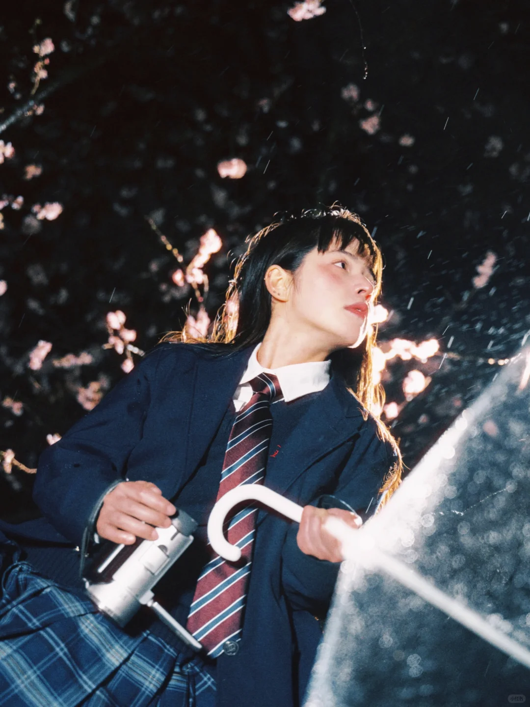 在雨夜拍到了今年第一波樱花🌸