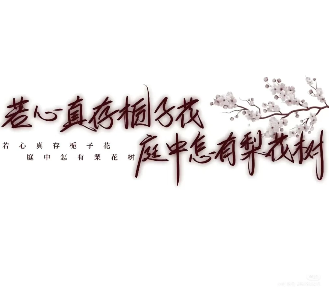 好看横屏壁纸( ˝ᗢ̈˝ )