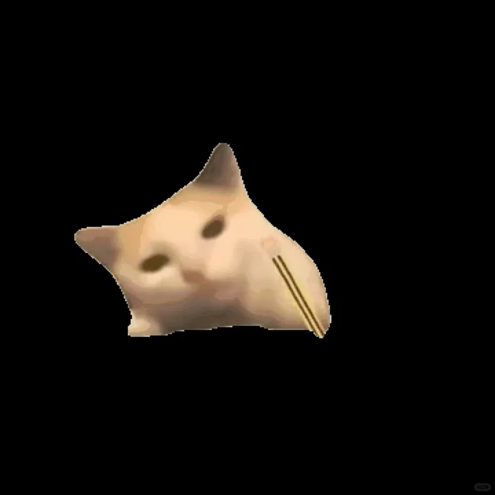 猫咪meme抽象表情包🔥