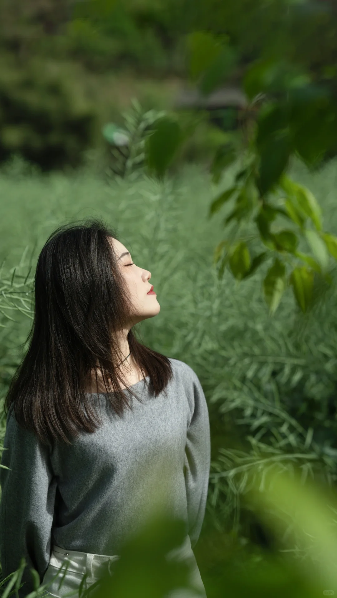 来，请晒出你春天的照片