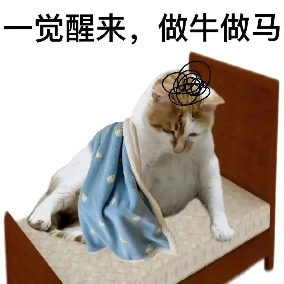 读研之后，非常喜欢的一些表情包！