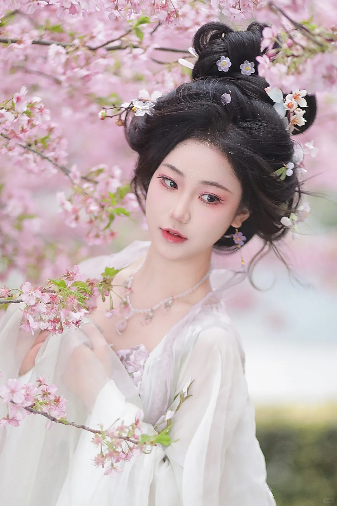 “春知晓梦不觉恰似你我那年”🌸