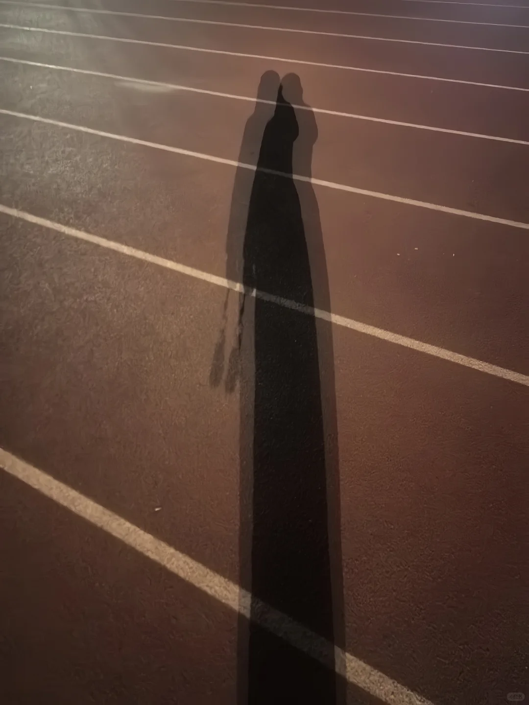 跑步的美女多还是帅哥多？