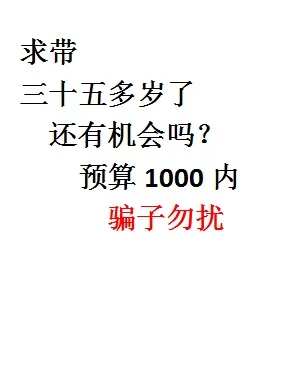 三十多岁了还能做什么？