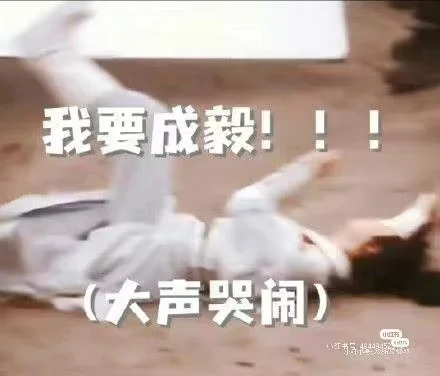 成毅表情包