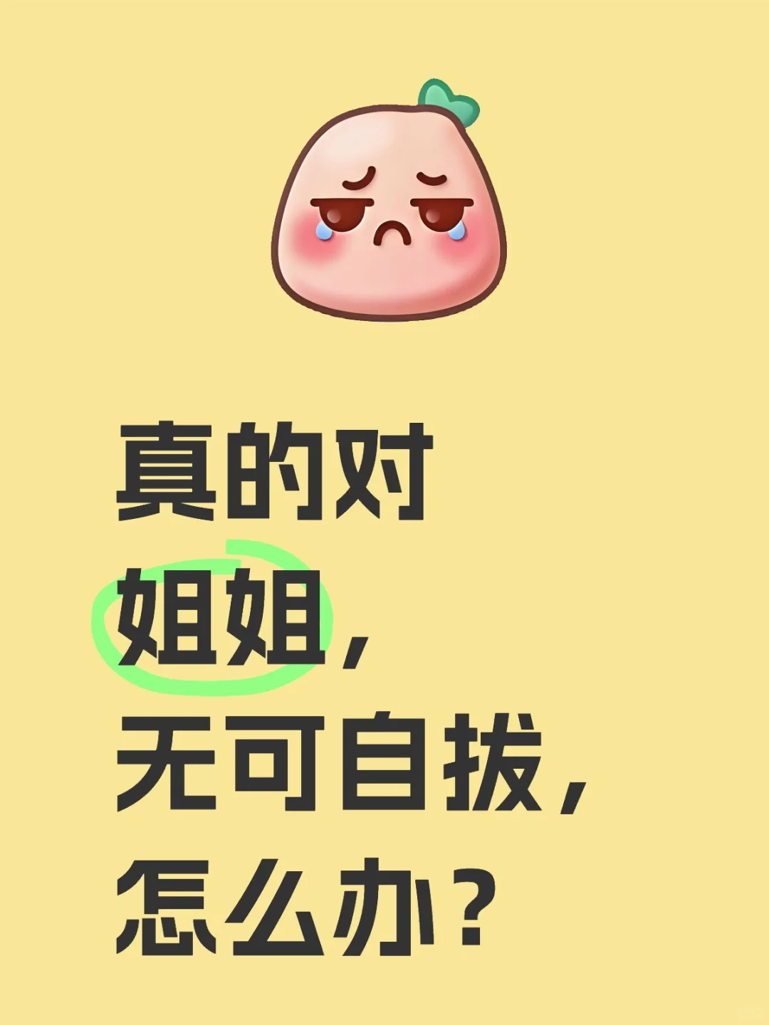 姐姐的魅力无与伦比。