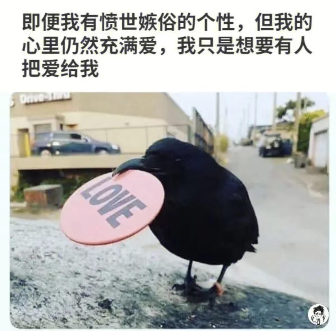 meme｜今天很难过，放点安慰自己的表情包