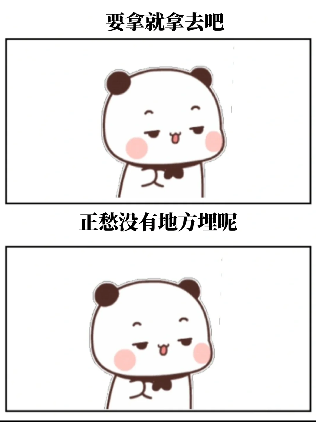 2025年最好笑的笑话来了
