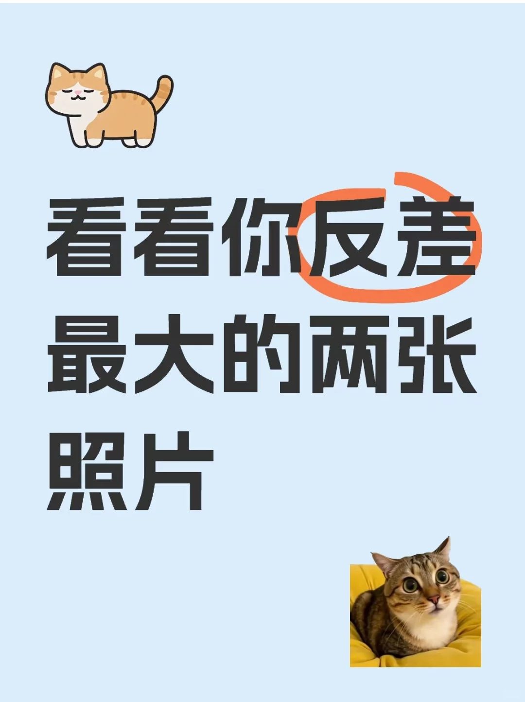 🍚🍵