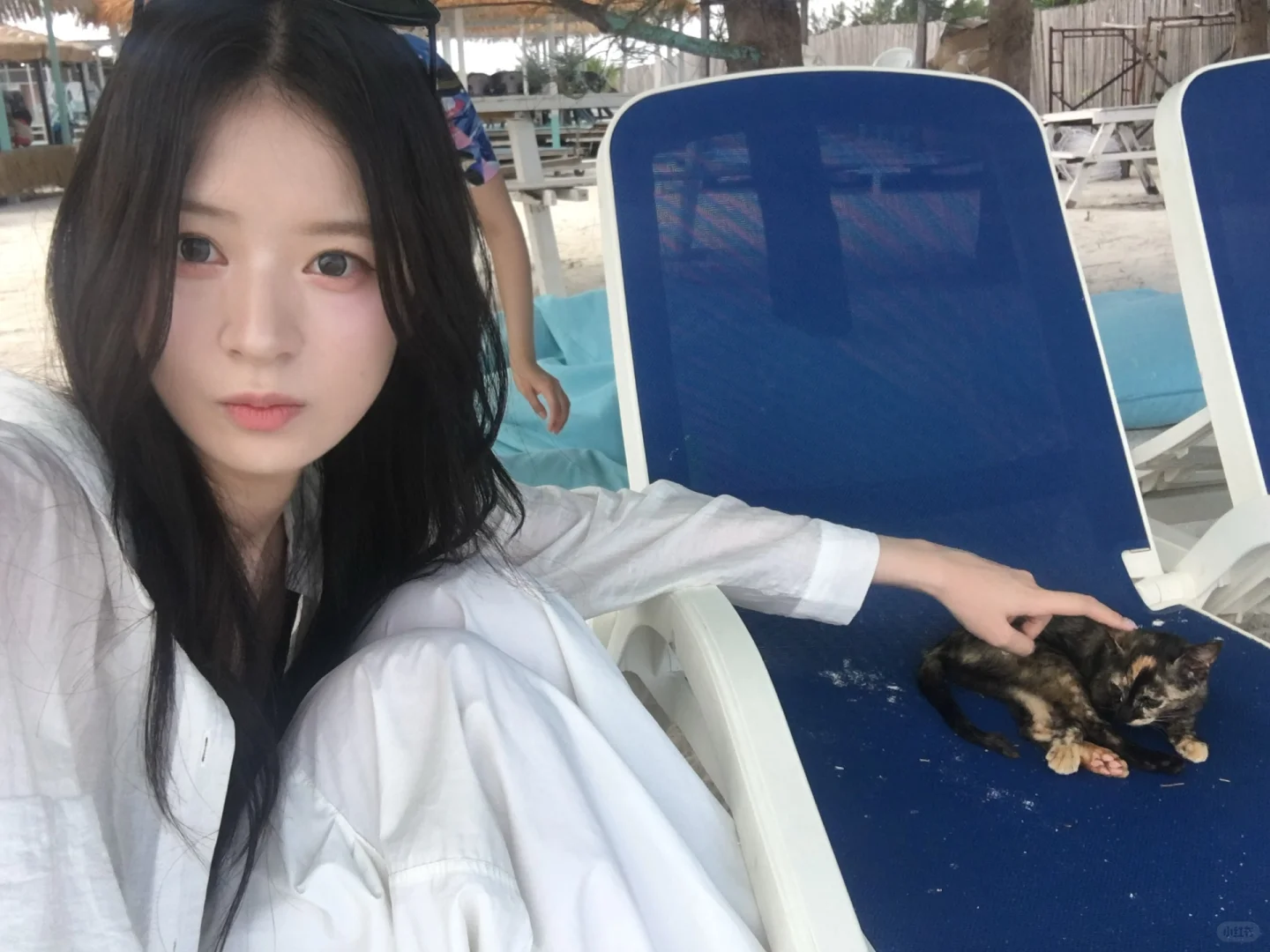 🫧🐚🏖️