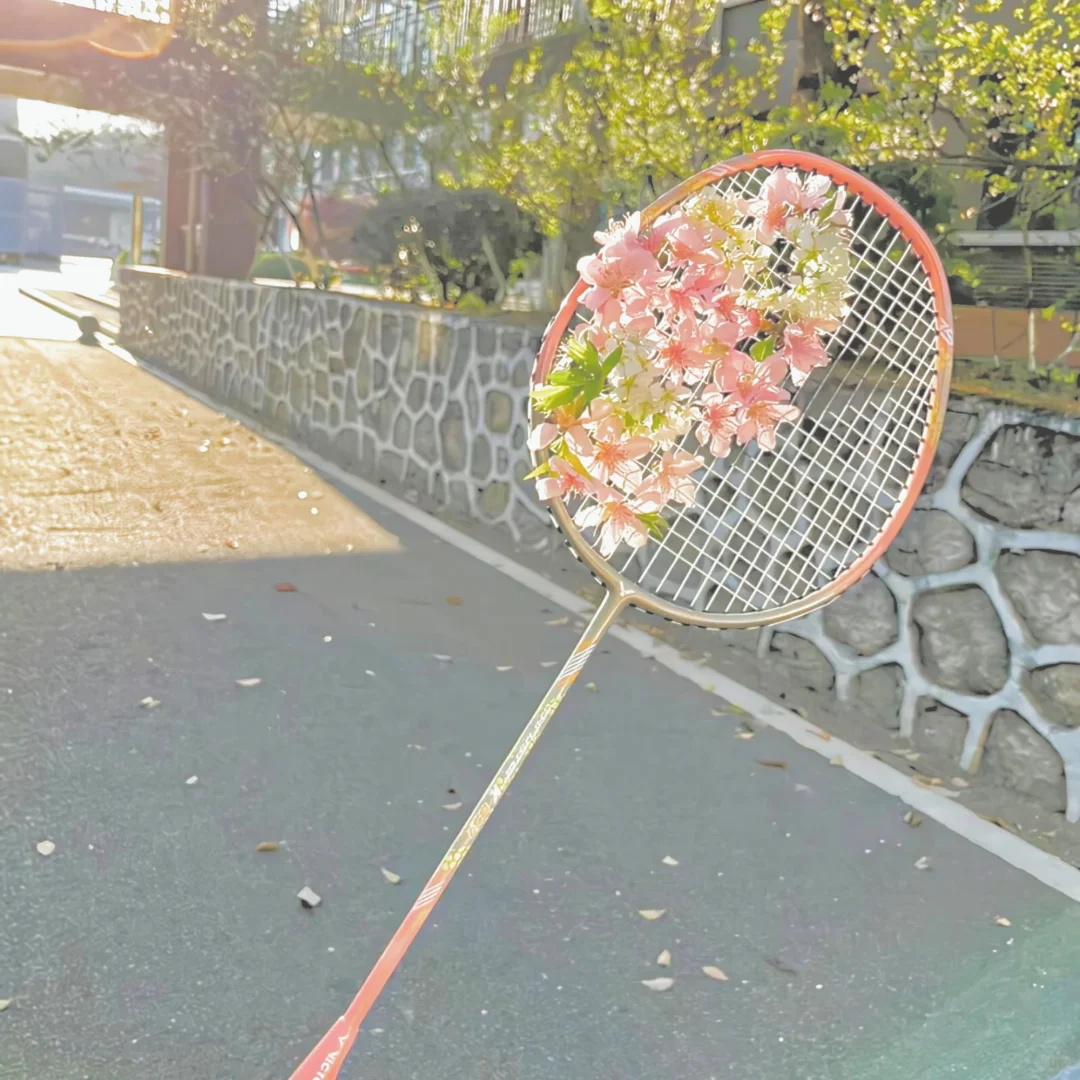 梨落江南岸背景图