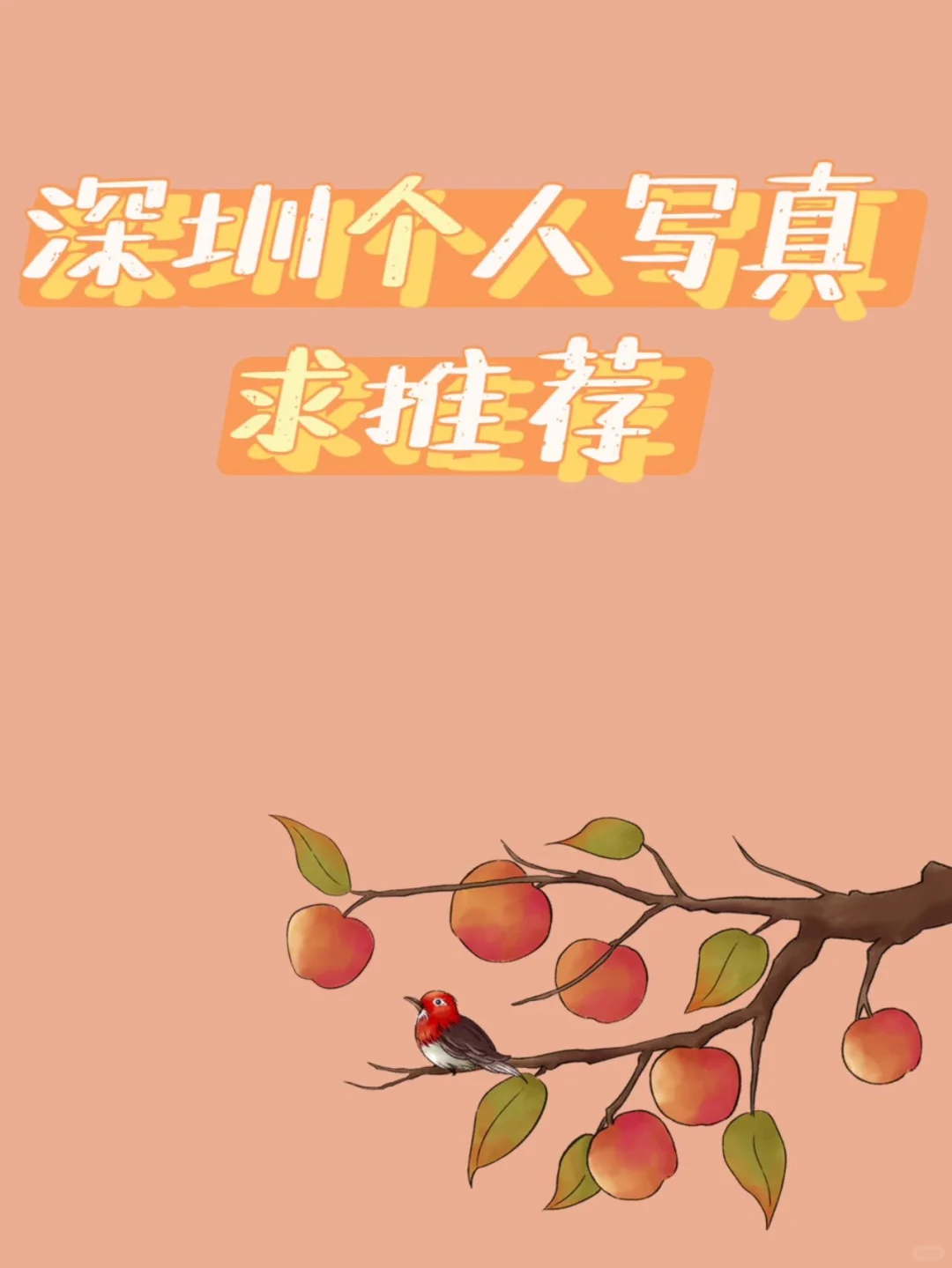 求深圳个人写真推荐！！！