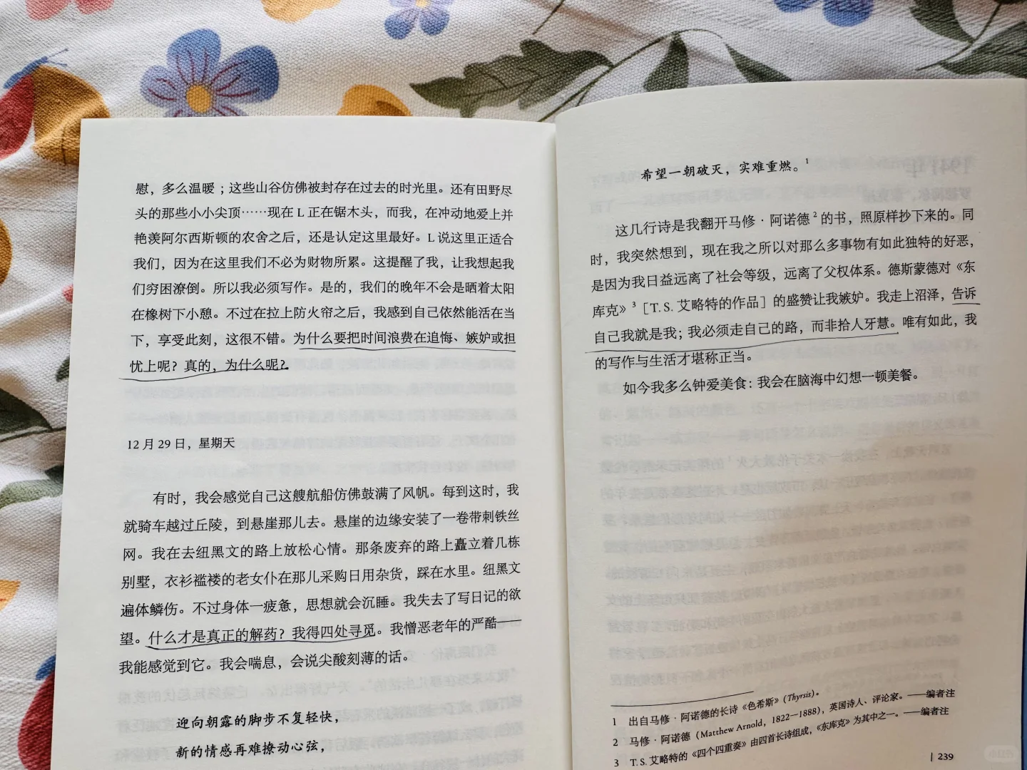 📙“逃离” 📙 “思考就是我的抵抗”