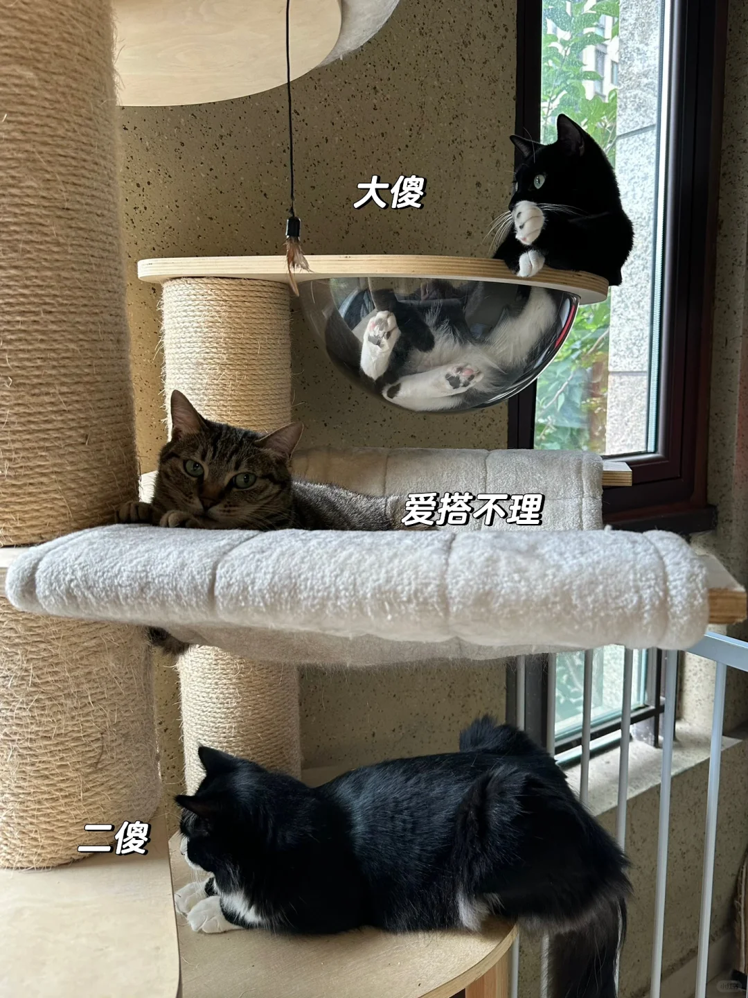 居家 练出线条均匀“强壮”的上肢！