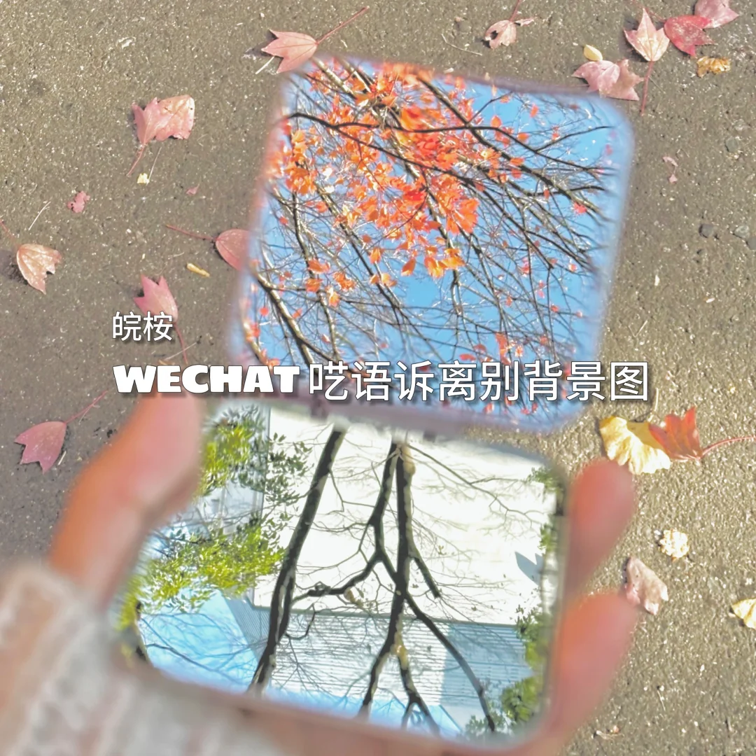 梨落江南岸背景图