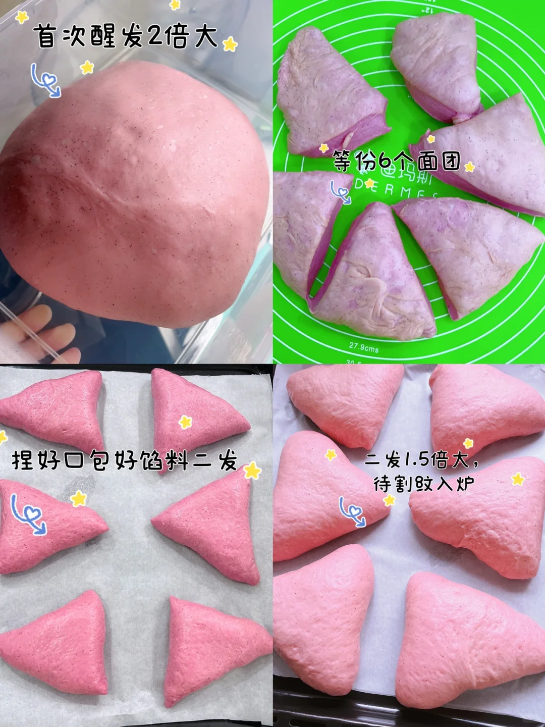 火龙果的乳酪蔓越莓欧包