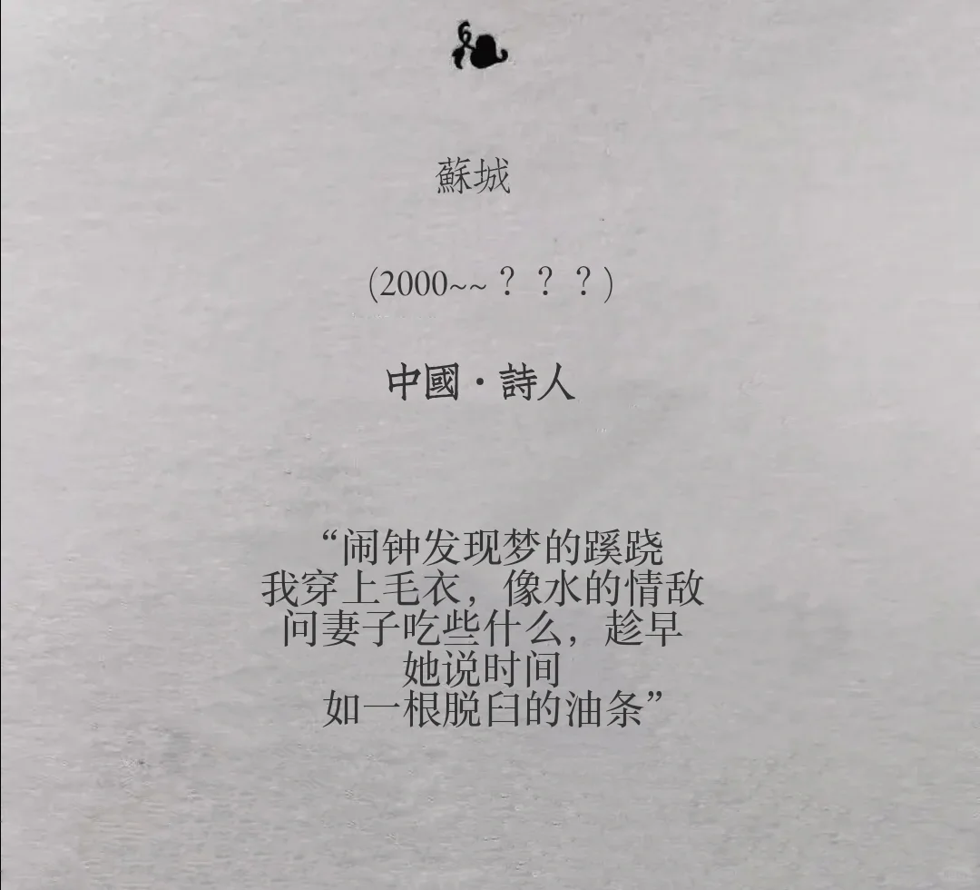 “伞，逮捕了一场违法的雨”