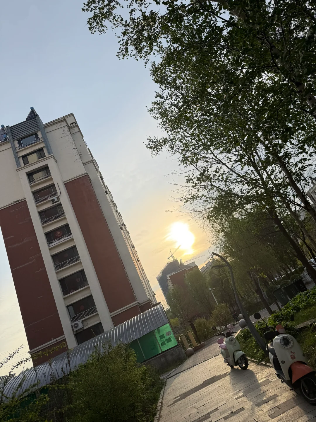 撸铁女青年💪！！不，女中年！！😅