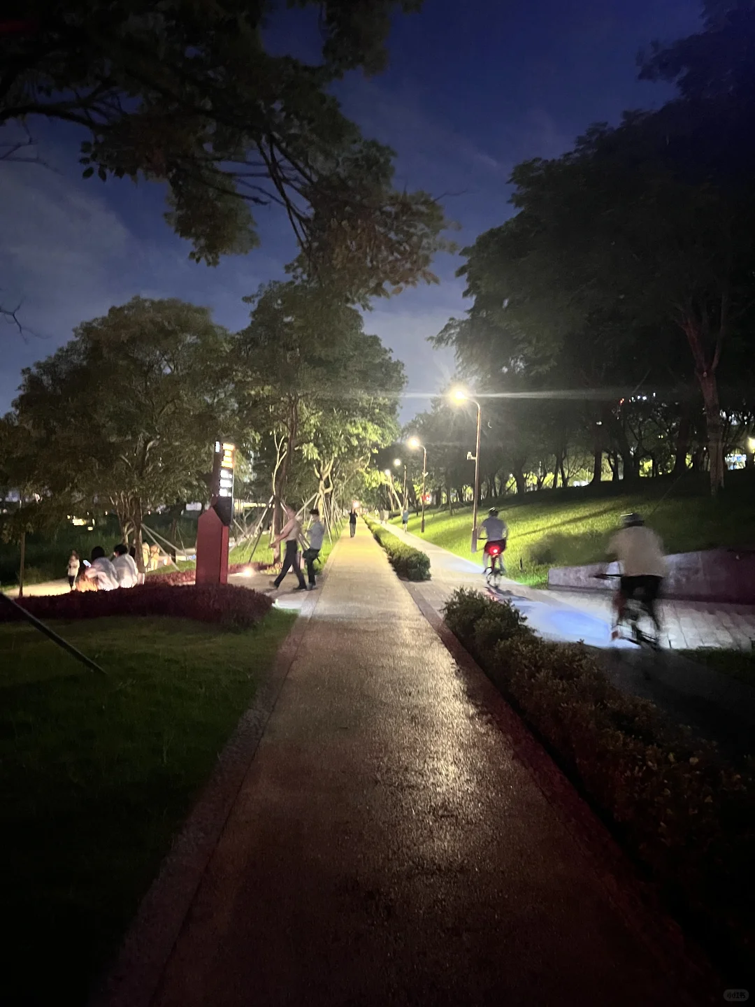 假装为我着迷一下吧～🏃‍♀️