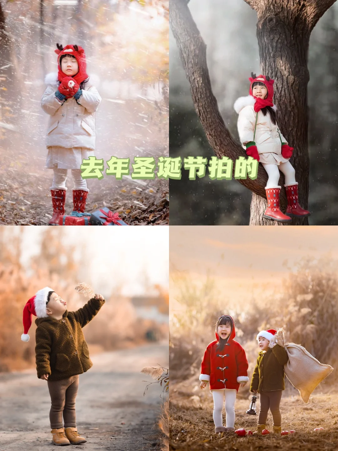 薅羊毛❗️我是如何做到不花一分钱学摄影❗️