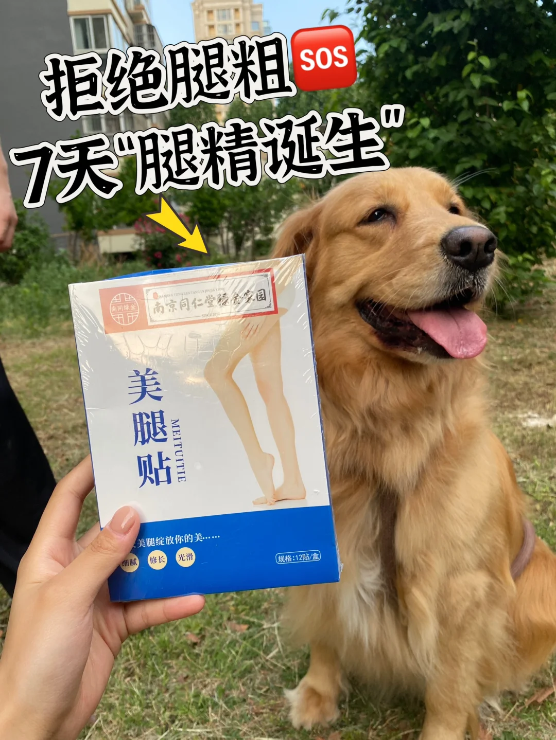 腿粗女孩进来狠狠码住！！懒人瘦腿攻略泄密！