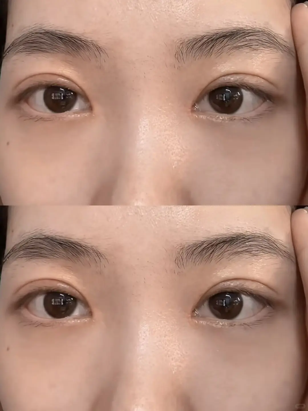 🧄记录📝