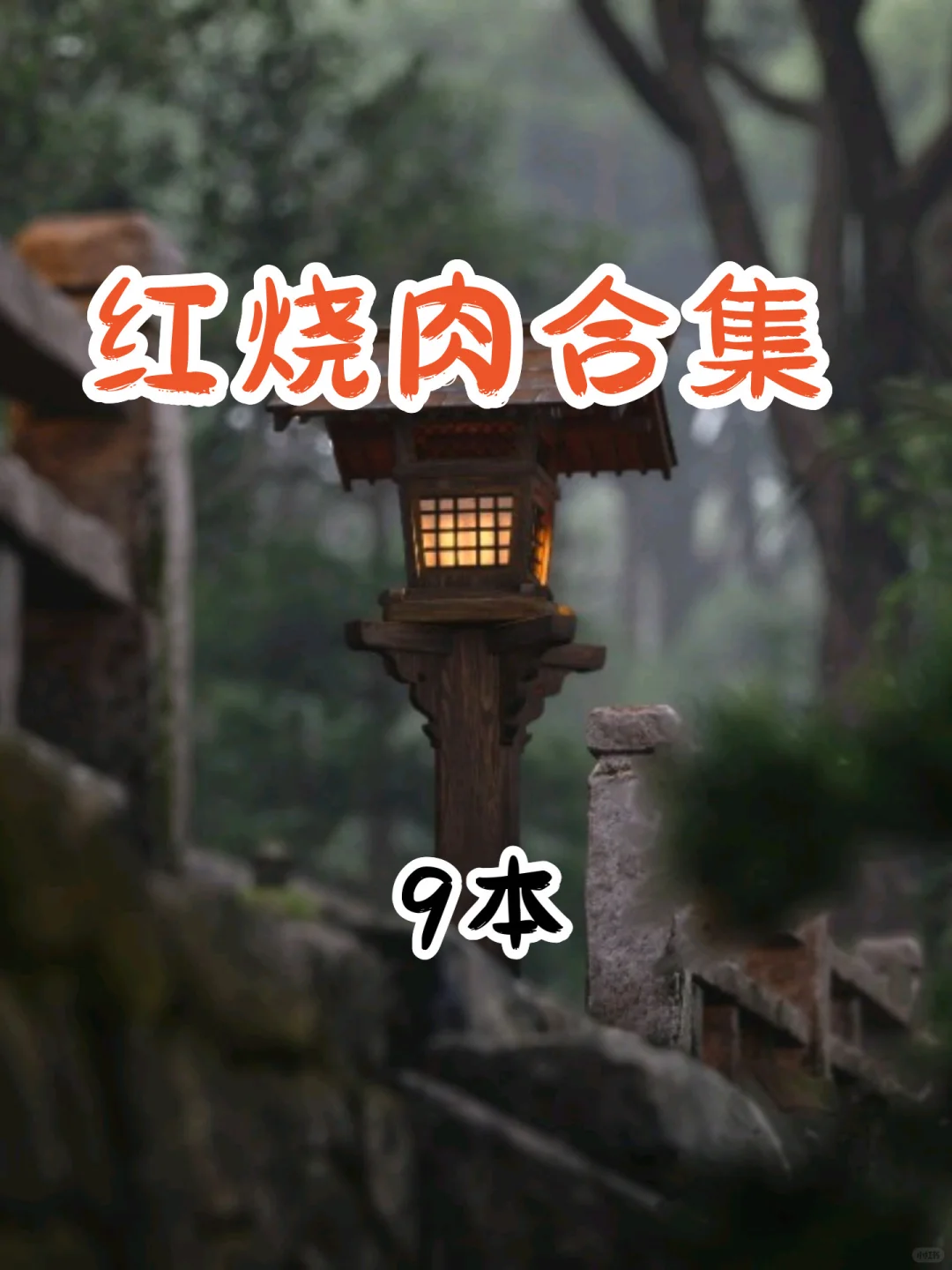 红烧肉合集9本，宝子们还是被找到啦！！