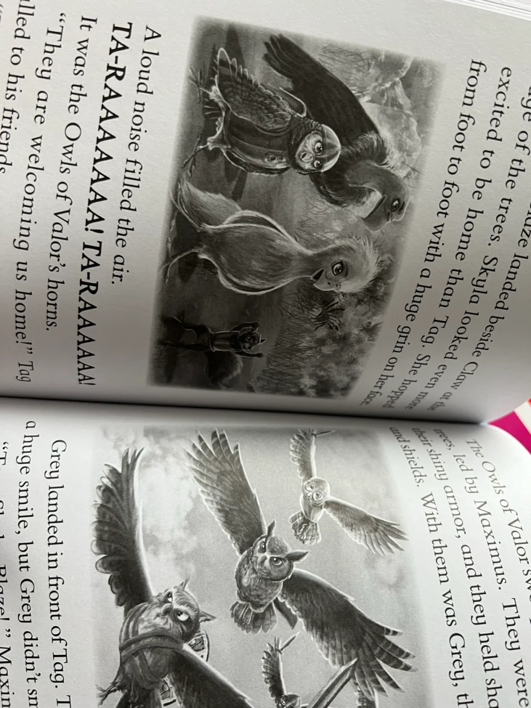 Scholastic Branches