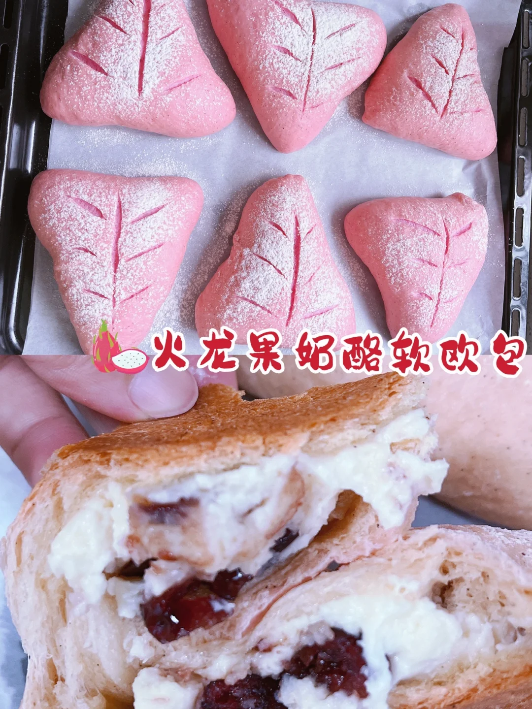 火龙果的乳酪蔓越莓欧包