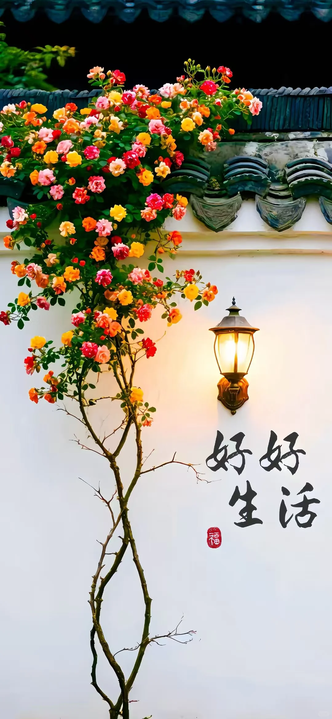 好好生活 皆如所愿！