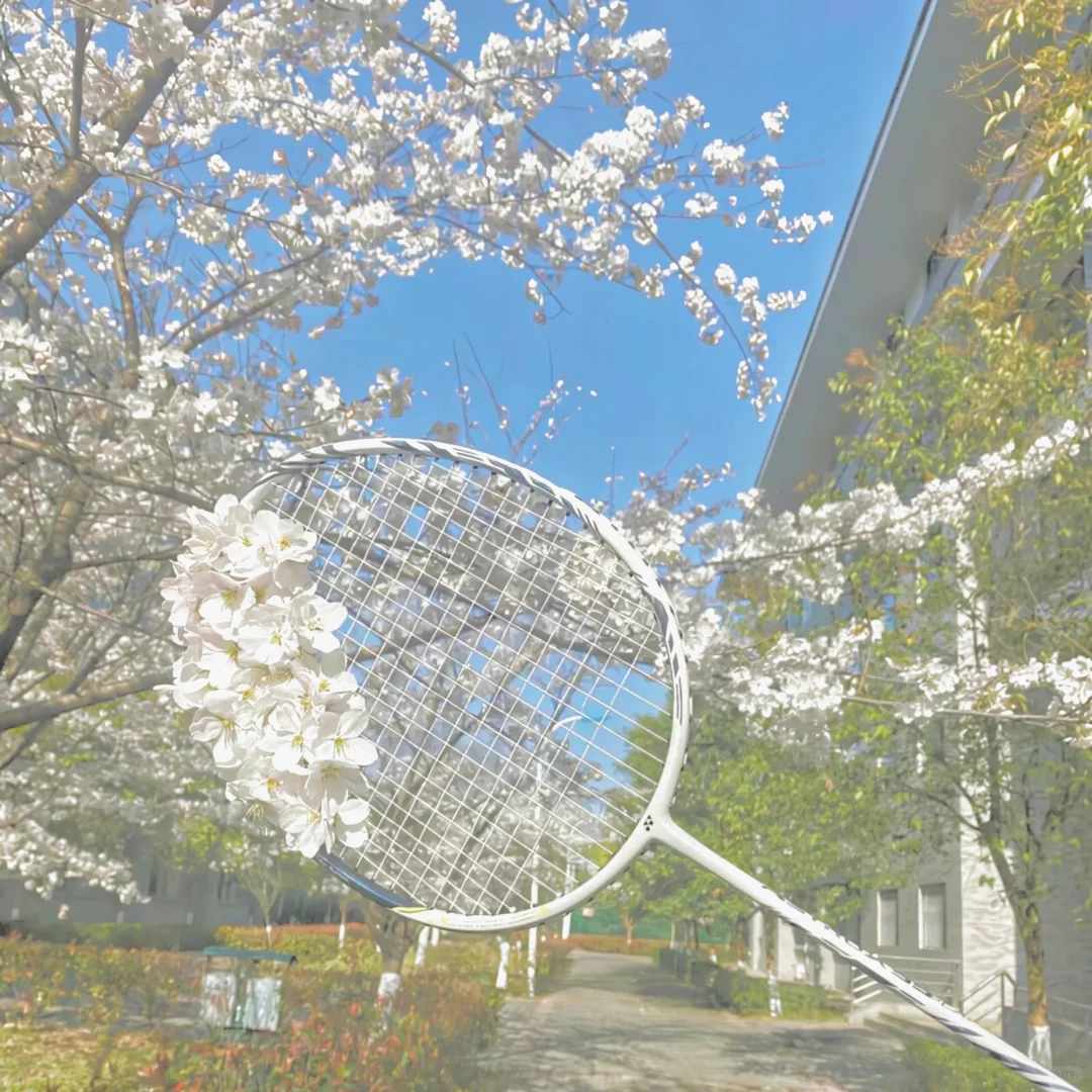 梨落江南岸背景图