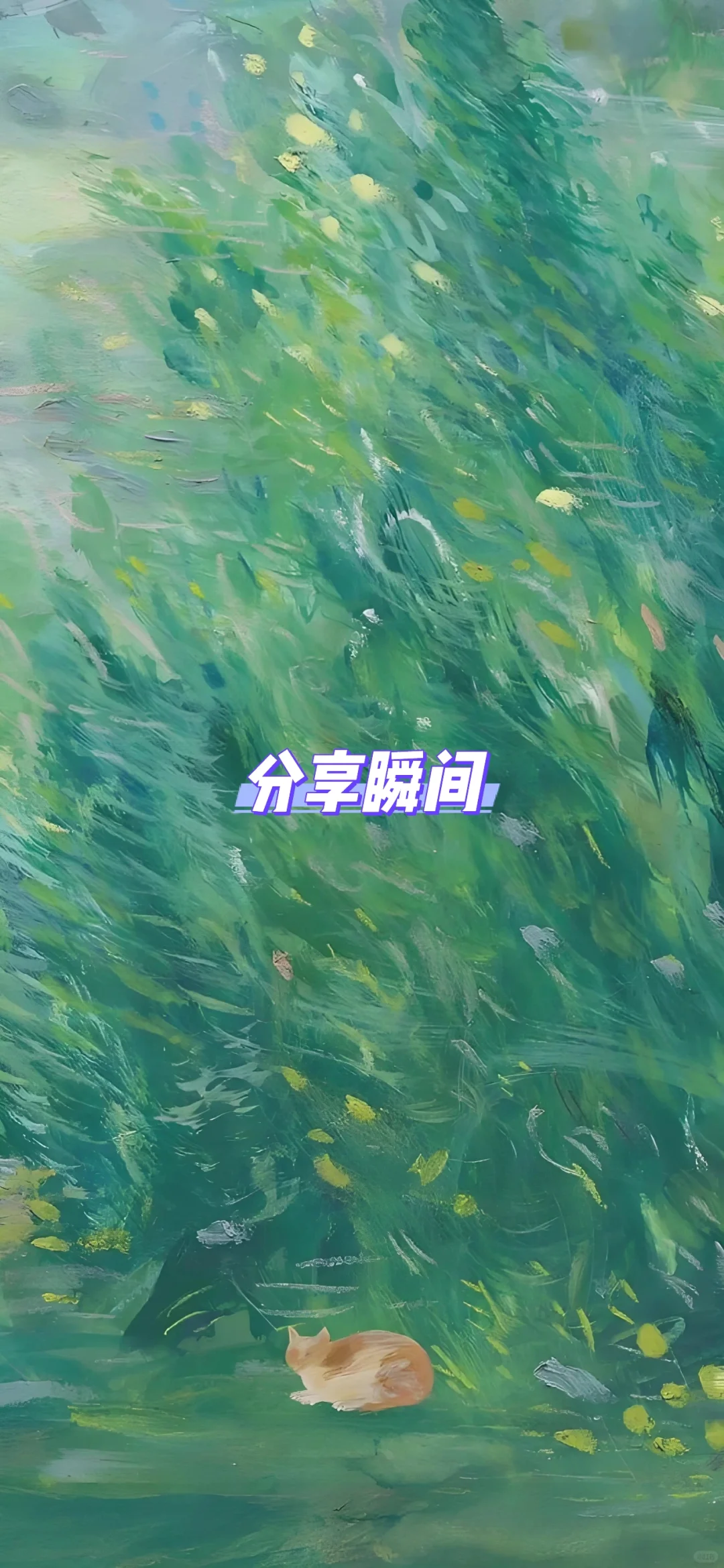 壁纸区 | 五行喜用水或水木的手机壁纸