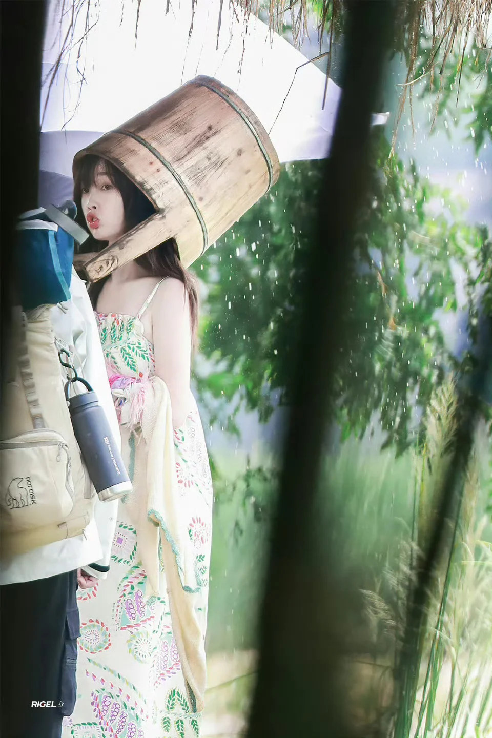 上了年纪爱拍些花草~虞美人让我想起虞书欣