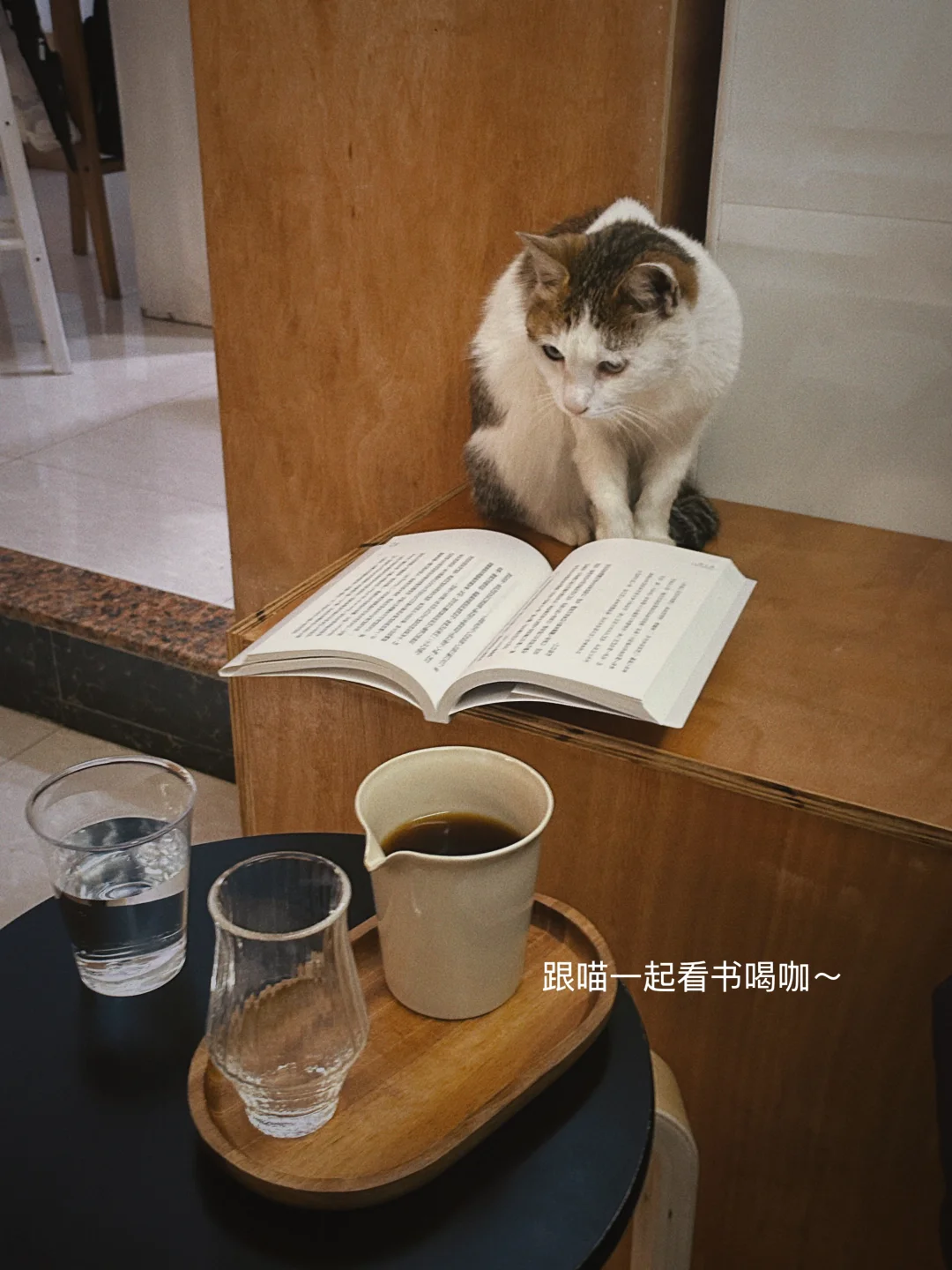 给小基数一点震撼