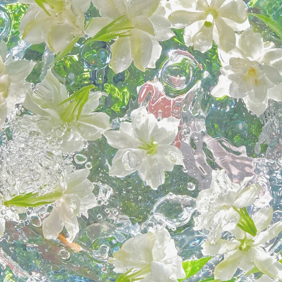 梨落江南岸背景图