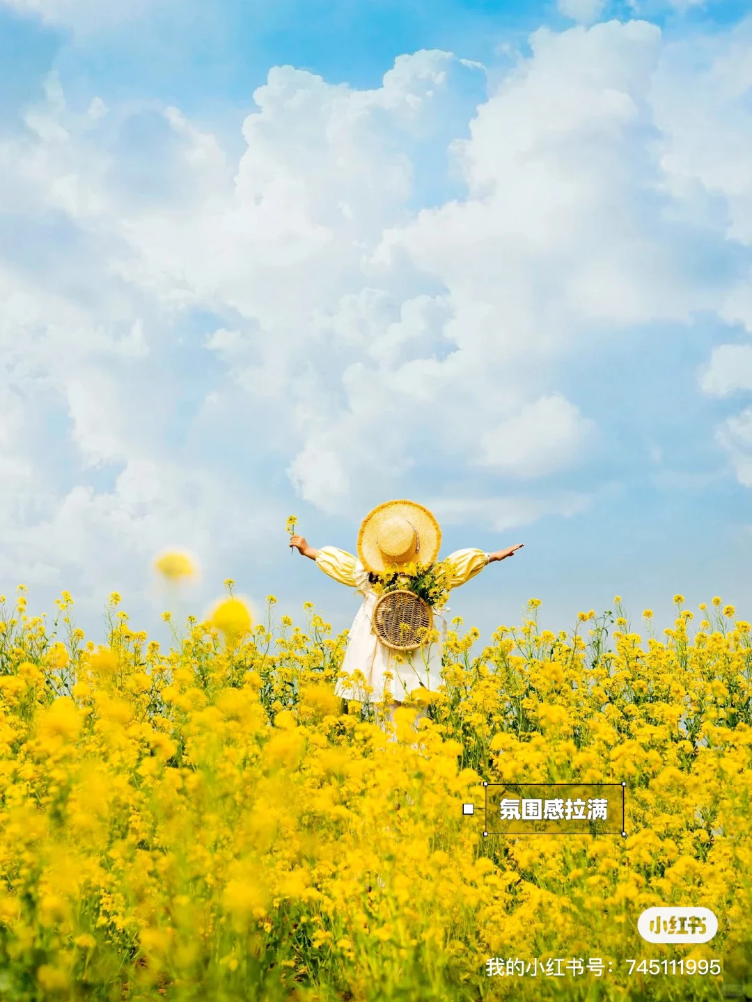 薅羊毛❗️我是如何做到不花一分钱学摄影❗️