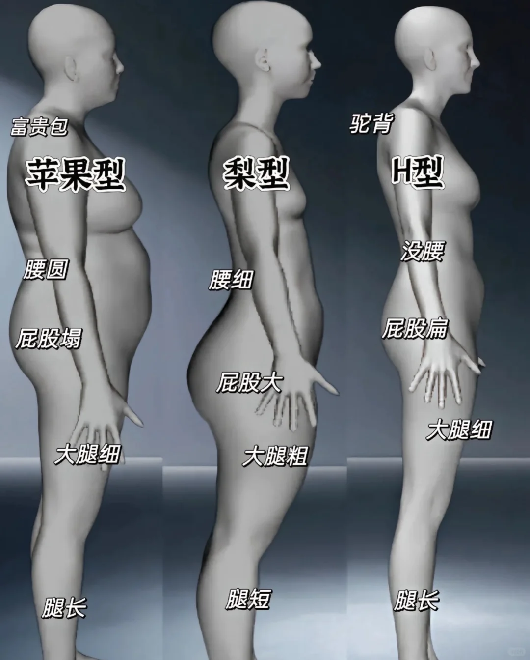 你们是啥型的，说出来让我羡慕一下
