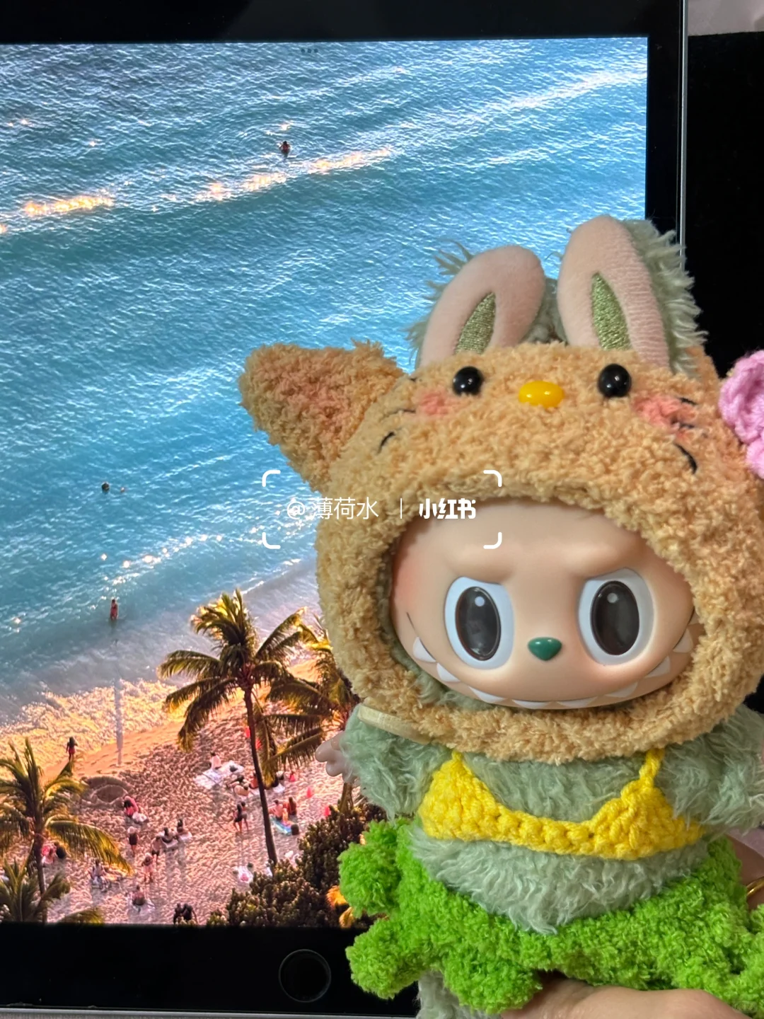 拉布布直接变HelloKitty棕皮辣妹🌴🏖️