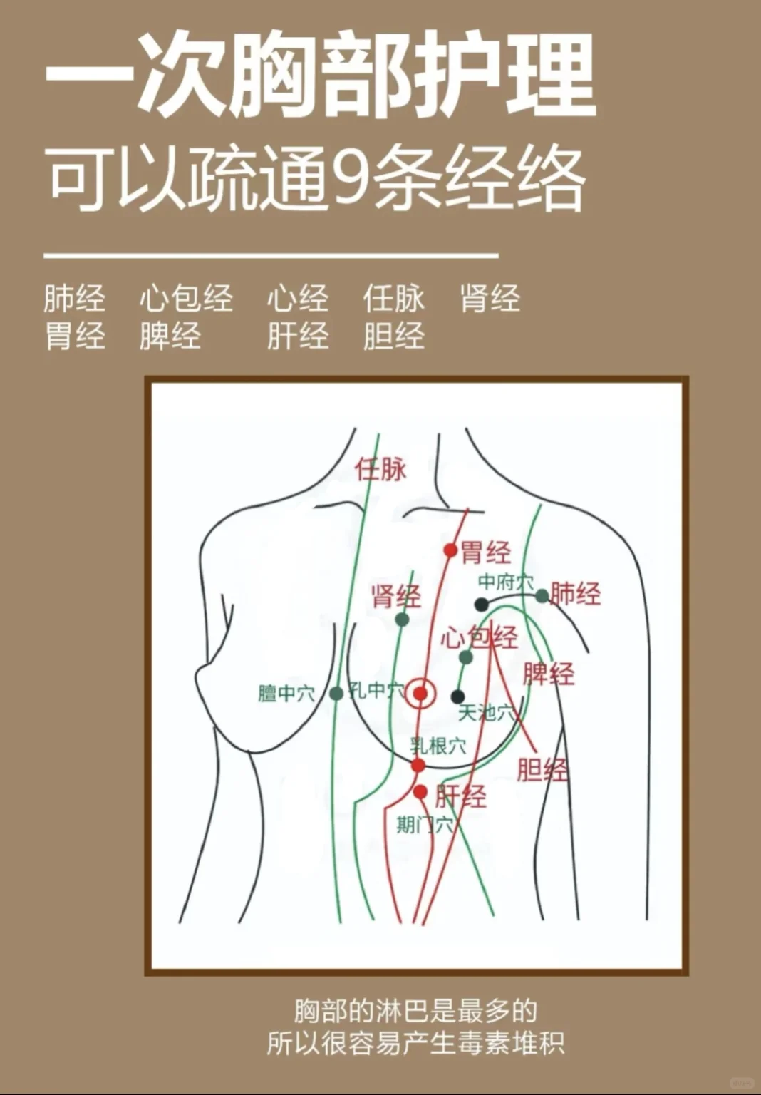 女性一定要胸部疏通保养🌹