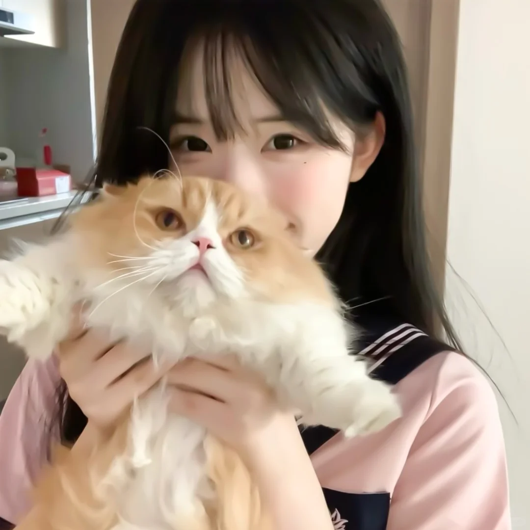 胆小鬼 你是否也会思念我呢oᴗOಣ