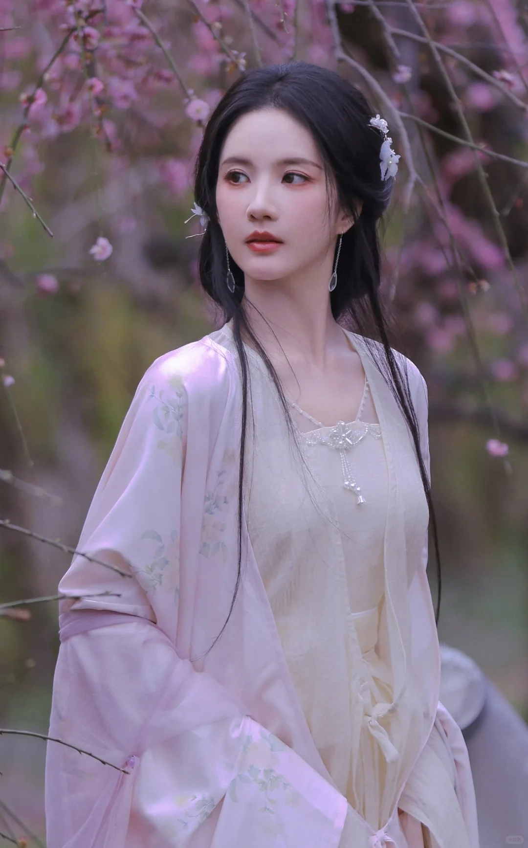 「刘些宁」 • 桃花美人