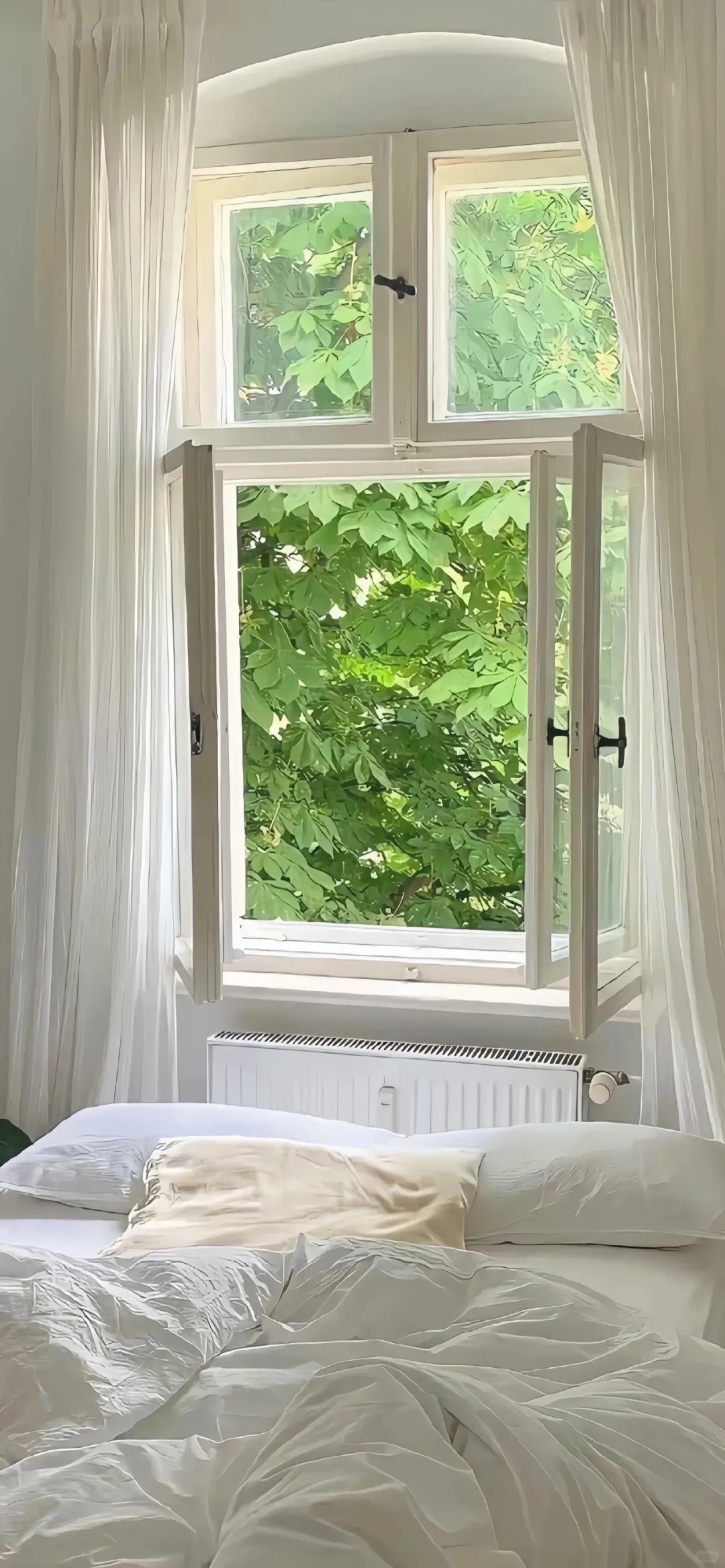 ✨夏日小清新壁纸