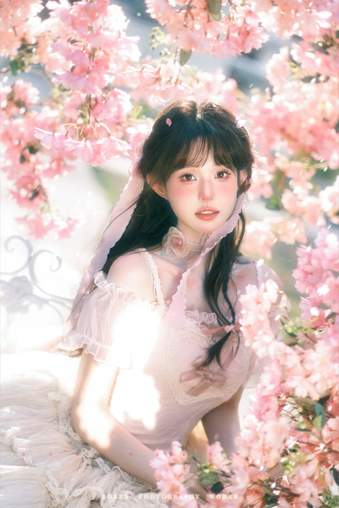 😭刘亦菲们这么美的两组樱花怎么选啊！🌸